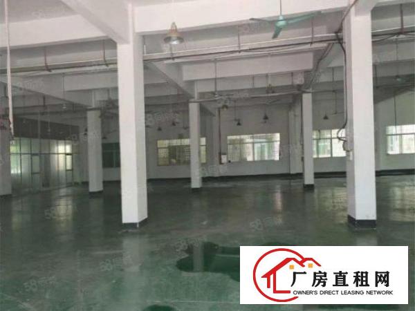  大朗富民工业城新出厂房1150平带电梯带办公室空地大