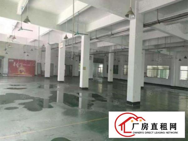  大朗富民工业城新出厂房1150平带电梯带办公室空地大