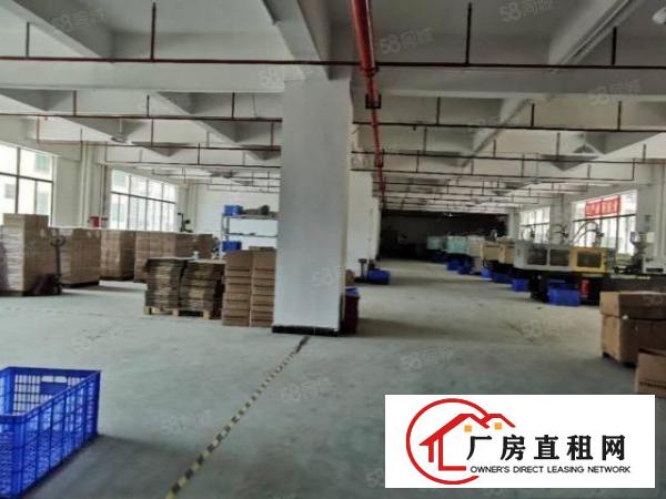  大朗象山工业城原房东独院厂房实际面积出租
