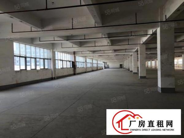  大朗象山工业城原房东独院厂房实际面积出租