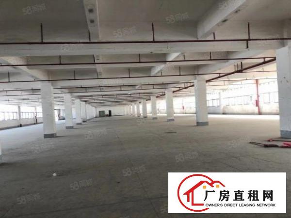  大朗象山工业城原房东独院厂房实际面积出租