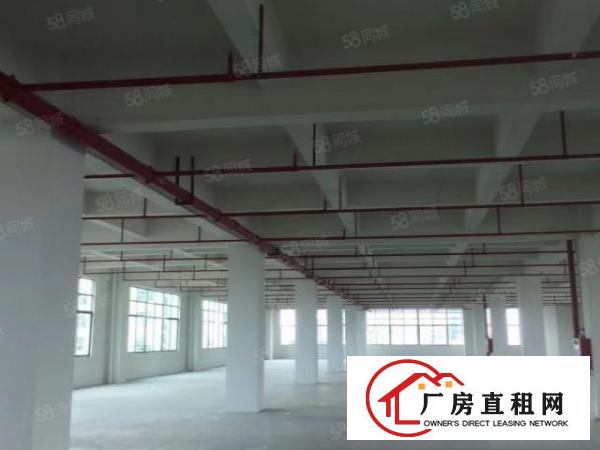  大朗象山工业城原房东独院厂房实际面积出租