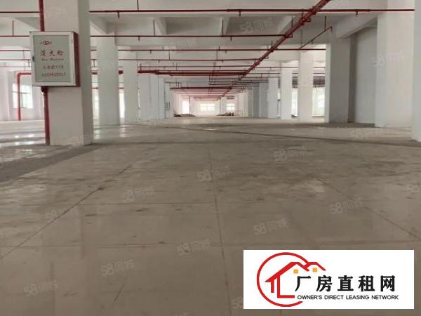  原房东独门独院新厂房带红本精装办公室可分租办环评水电过户