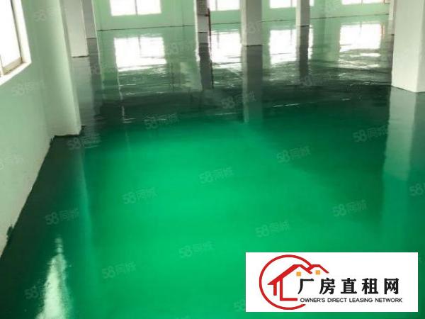  原房东独门独院新厂房带红本精装办公室可分租办环评水电过户