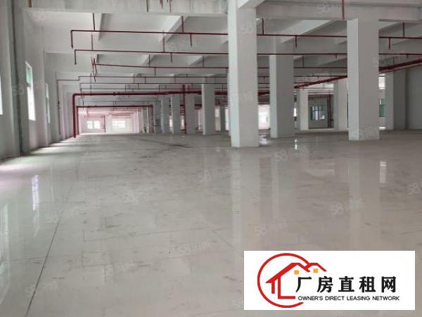  原房东独门独院新厂房带红本精装办公室可分租办环评水电过户