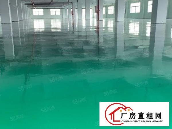  原房东独门独院新厂房带红本精装办公室可分租办环评水电过户