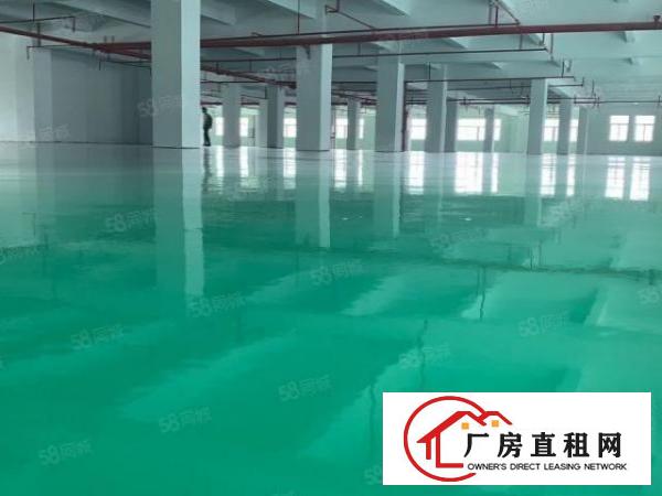  原房东独门独院新厂房带红本精装办公室可分租办环评水电过户