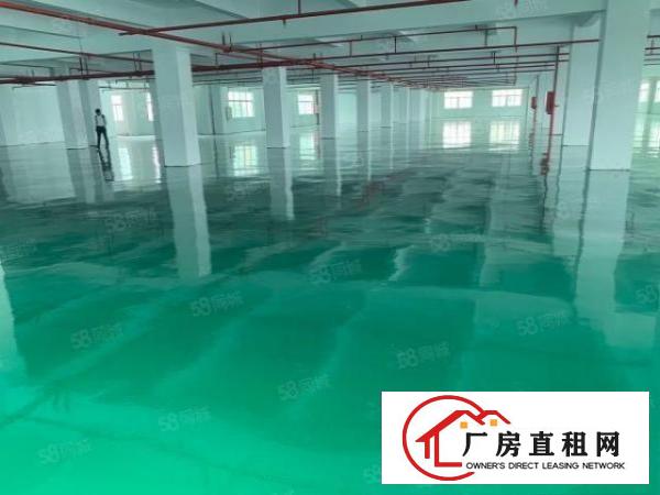  原房东独门独院新厂房带红本精装办公室可分租办环评水电过户