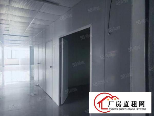 大朗象山工业城新出无尘车间700平方办公室精装修