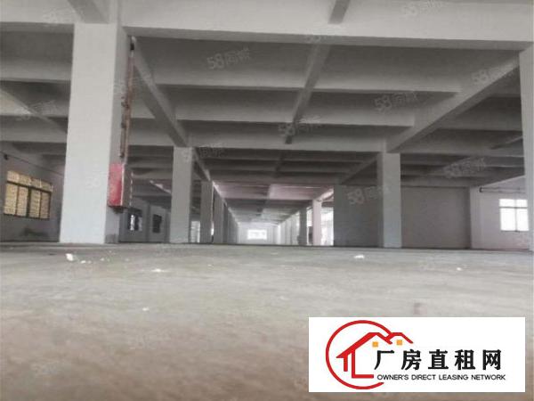  大朗原房东工业厂房500至15000方分组，可办环评进大车