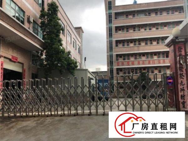  大朗工业厂房一楼700方带办公室，高度7米可进大车