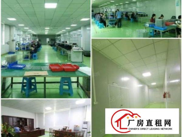  500平方起分租一楼高度6米带牛角，水电齐全。交通便利配电1