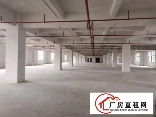  东莞大朗新莲2000平方全新厂房出租可办环评可分租