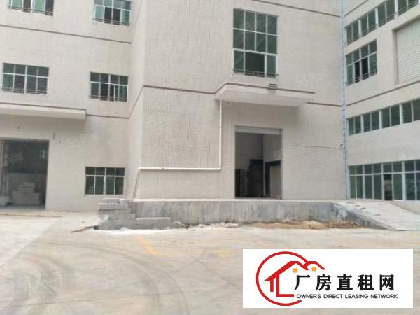  东莞大朗新莲2000平方全新厂房出租可办环评可分租
