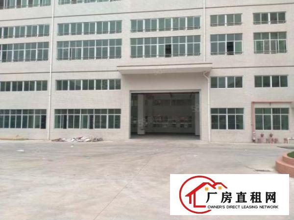  东莞大朗新莲2000平方全新厂房出租可办环评可分租