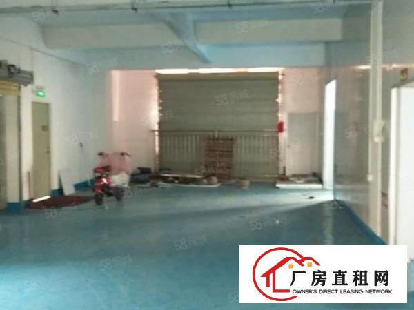  地坪漆现成装修，大朗新出厂房4楼1000，6楼800，可分租