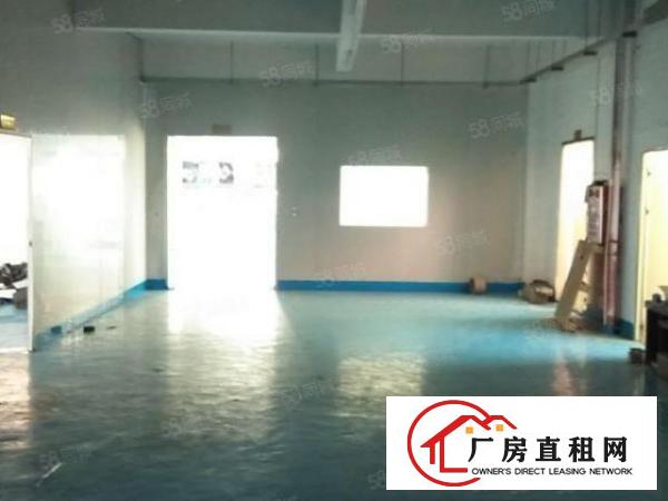 地坪漆现成装修，大朗新出厂房4楼1000，6楼800，可分租