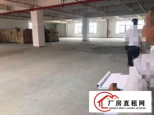  大朗洋乌全新标准厂房六楼790平出租厂房形象好，格局好
