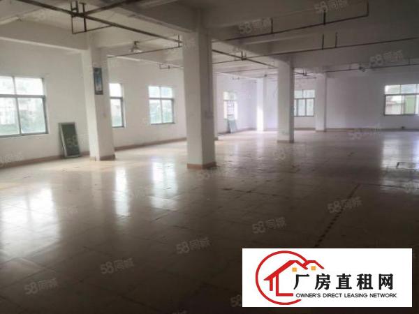  独栋，大朗水口独栋厂房5层2000平，带电梯现成装修，可分租