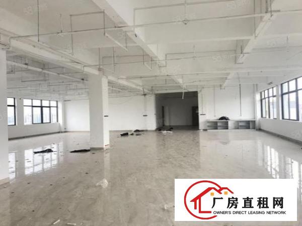  可注册公司大朗镇中心现有100~300平方办公室招租
