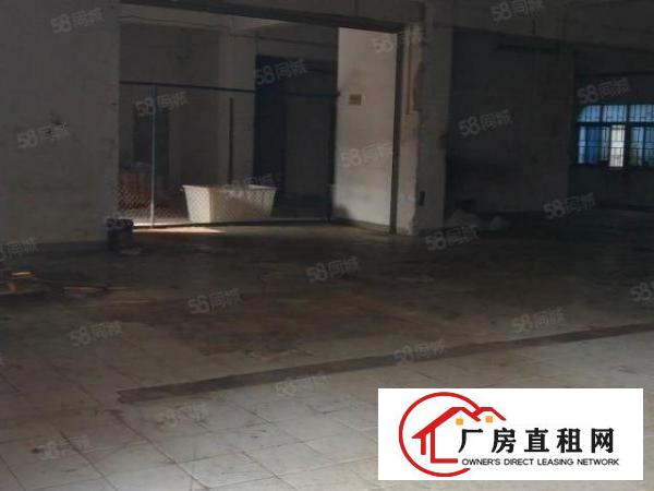  9个铺面）实际面积一楼1300平，大朗新出标准厂房，可分租