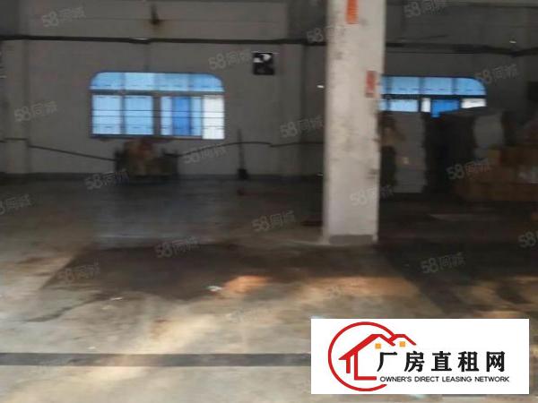 9个铺面）实际面积一楼1300平，大朗新出标准厂房，可分租