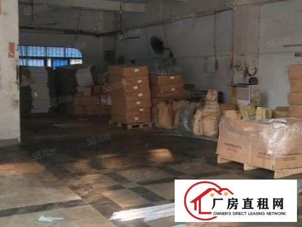  9个铺面）实际面积一楼1300平，大朗新出标准厂房，可分租