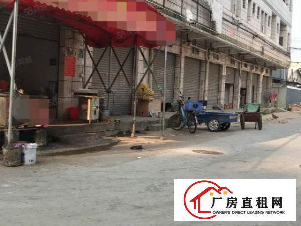  9个铺面）实际面积一楼1300平，大朗新出标准厂房，可分租