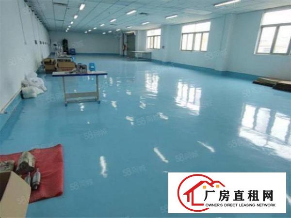 大朗富民工业城原房东标准楼上900方，带地坪漆和办公室空地大