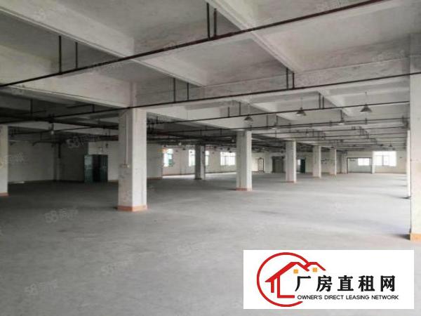  大朗洋乌原房东1900平方厂房出租可办环评