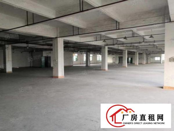  大朗洋乌原房东1900平方厂房出租可办环评