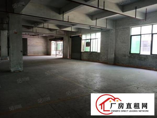  大朗独门独院可办环评，标准厂房出租