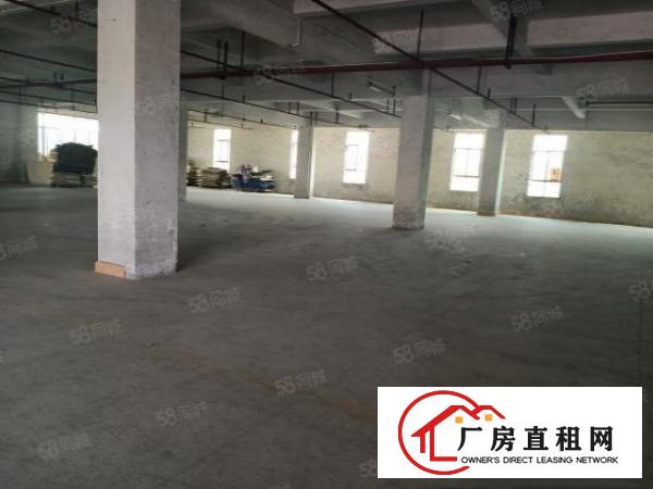  大朗独门独院可办环评，标准厂房出租