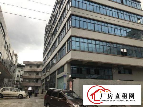  大朗新马莲独栋标准厂房930平低价出租玻璃墙面光线好