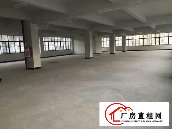  大朗新马莲独栋标准厂房930平低价出租玻璃墙面光线好