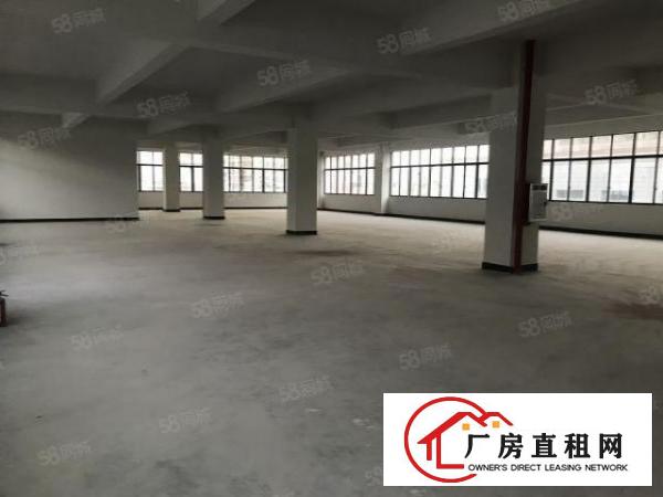  大朗新马莲独栋标准厂房930平低价出租玻璃墙面光线好