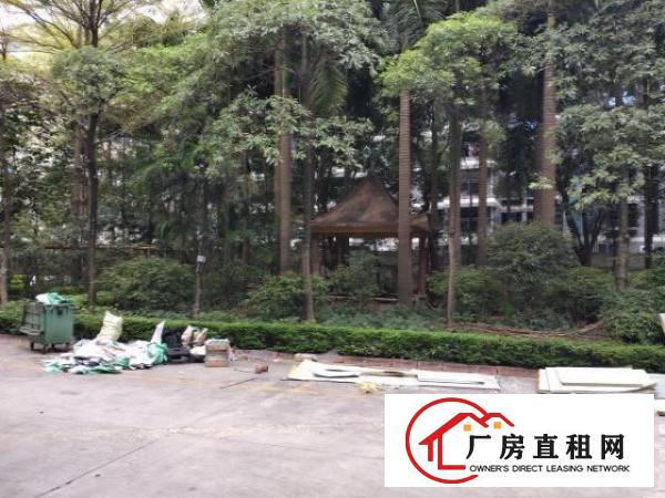  大朗象山工业城独院钢构滴水9米，现成行车3台，空地大，可分租
