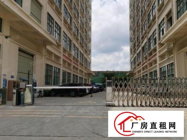  大朗新马莲标准厂房楼上1100平低价出租带消防喷淋形象上佳