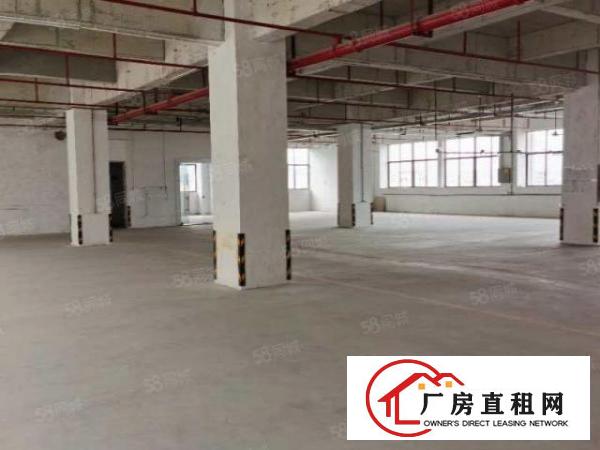  大朗新马莲标准厂房楼上1100平低价出租带消防喷淋形象上佳