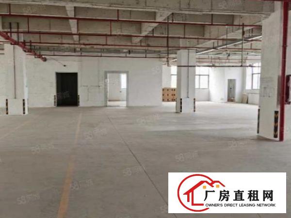  大朗新马莲标准厂房楼上1100平低价出租带消防喷淋形象上佳