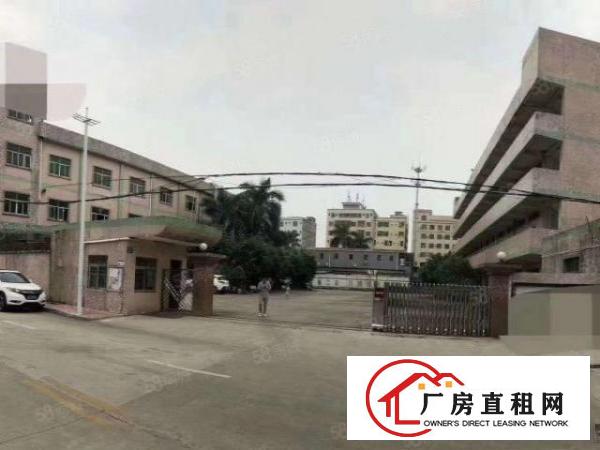 大朗杨涌新空出标准厂房4900平可分租