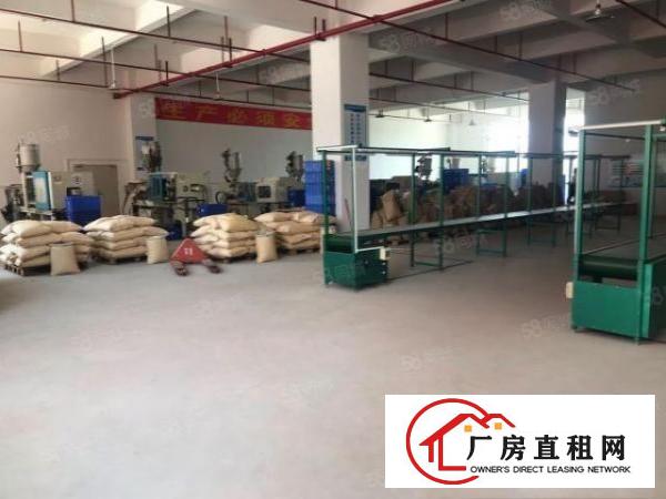  大朗杨涌新空出标准厂房4900平可分租