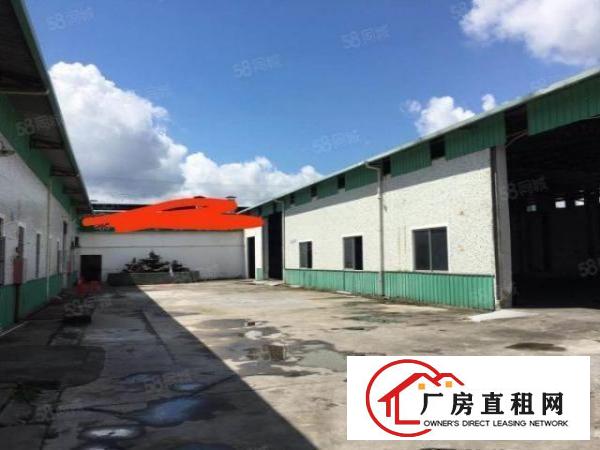  大朗原房东独院钢构2500方，带办公室，工业用地可做小污染