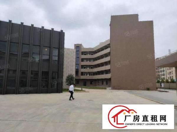  大朗成熟工业区新建厂房独院，环评秒过，工业用地形象漂亮