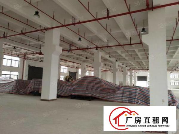  大朗成熟工业区新建厂房独院，环评秒过，工业用地形象漂亮