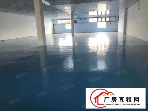  大朗富民工业城新空出标准厂房一楼550平形象好有办公室