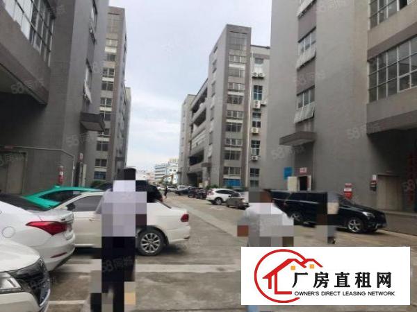  大朗富民工业城新空出标准厂房一楼550平形象好有办公室