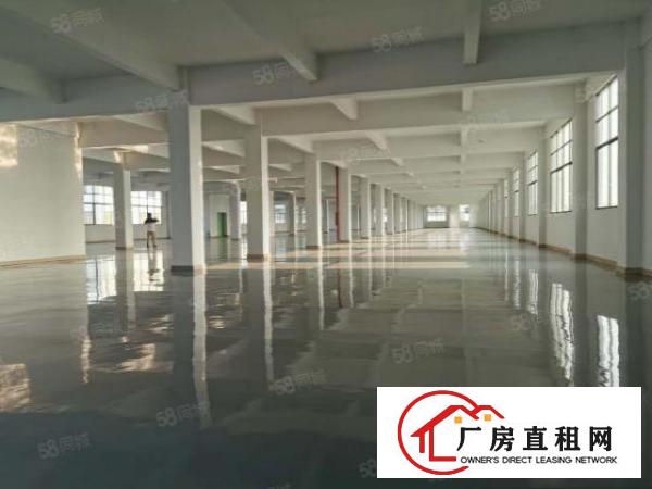  东莞大朗竹山原房东独院厂房6500平方出租可办环评