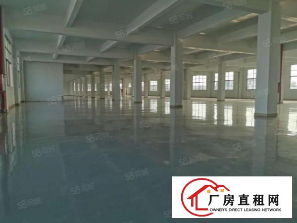  东莞大朗竹山原房东独院厂房6500平方出租可办环评