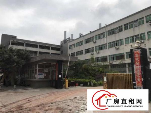  大朗石厦标准厂房带地坪漆1500方，原房东无公摊，价格低